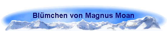 Blmchen von Magnus Moan