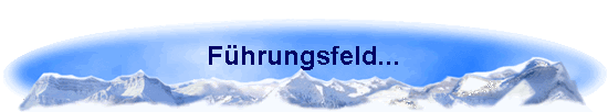 Fhrungsfeld...